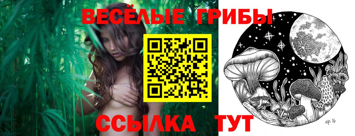 Галлюциногенные грибы прущие грибы Электросталь